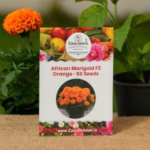 Casa De Amor African Marigold/Gainda F2 (Orange, 50 Seeds)