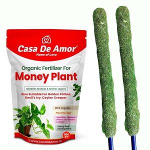 Casa De Amor Money Plant Organic Plant Food (900 gm) and 3 Feet Moss Stick Plants Support for Money Plant (Set of 2)