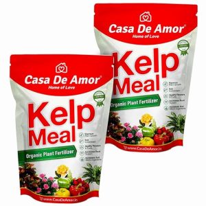 Casa De Amor Kelp Water Soluble Concentrate Powder | Pure & Natural | Suitable For All Types of Plants (100 gm) - Set of 2