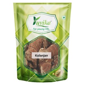 YUVIKA Kulanjan - Kulinjan - Paan Jadd - Siamese Ginger - Thai Ginger (100 Grams)