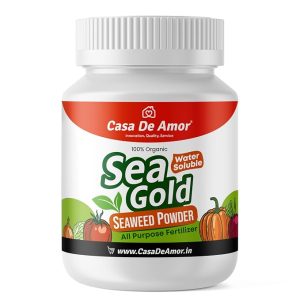 Casa De Amor Sea Gold Organic Seaweed Extract Powder | Water Soluble Concentrate Powder | All Purpose Plant Food and Plant Growth Booster (100 gm)