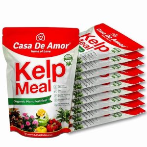 Casa De Amor Kelp Water Soluble Concentrate Powder | Pure & Natural | Suitable For All Types of Plants (100 gm) - Set of 10