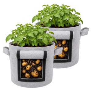 Casa De Amor 15x12 Inch Potato Grow Bags for Root Vegetables, Geo Fabric 400 GSM Plant Bag (Light Grey Color, Pack of 2)